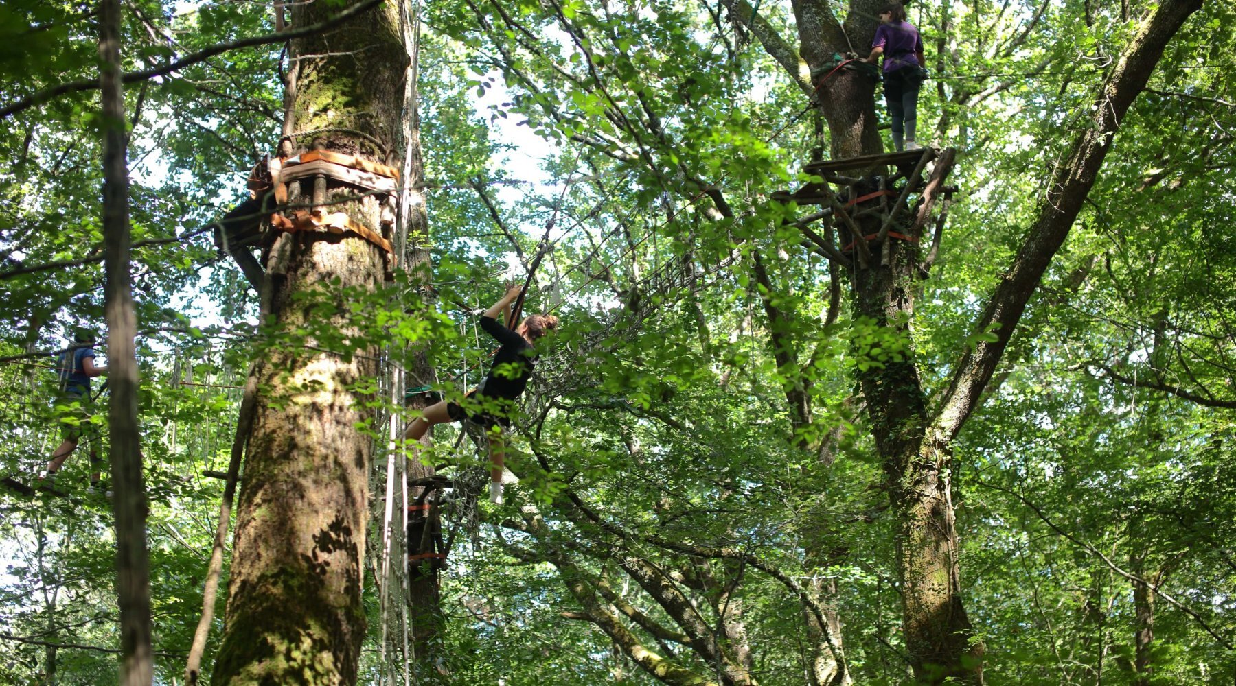 accrobranche arbor et sens gironde
