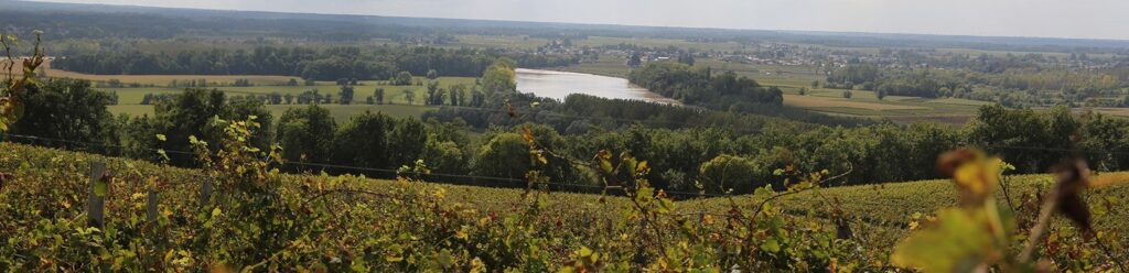banniere vignobles gonfrier