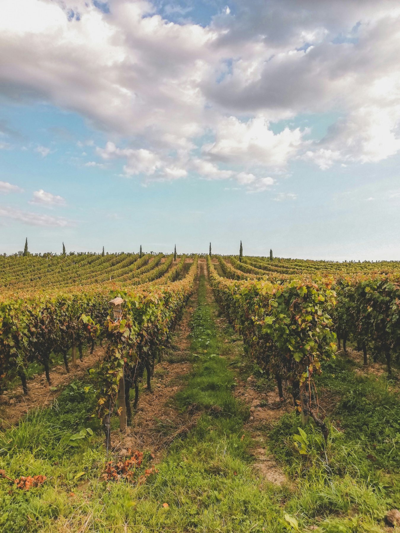 randonnees cotes de bordeaux